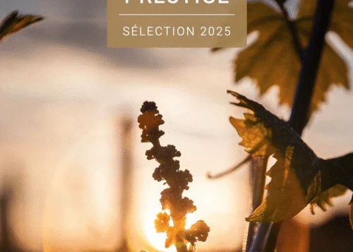 ★부르고뉴 와인 협회(BIVB) 2025 까브 드 프레스티지 선정 (도멘 꺄헤트, 장송 빠리고)★