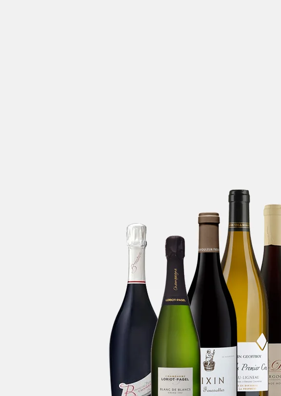 Bourgogne Wine